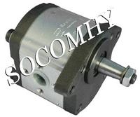 Pompe Bosch LANDINI Série 60, 0510525339 