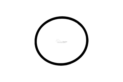 Joint du boîtier de thermostat pour Massey Ferguson série 3400, 4224755M1