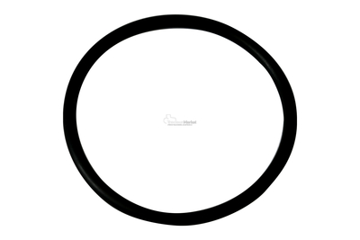 Joint torique d'arbre de levage pour Massey Ferguson série 5400, 1006234M1